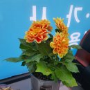 법무사사무소라함