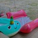 캠핑라운지 | 서울 근교 애견동반 계곡 캠핑장 “캠핑라운지” A5이용 후기