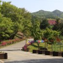 문성자연휴양림 이미지