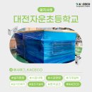 대전자운초등학교 이미지