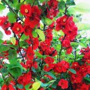 간촌어린이공원 이미지