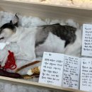 해늘마루 이미지