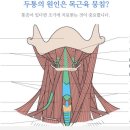 연세든든척의원 이미지