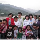 섬진다원 이미지