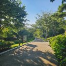 황령산유원지 생태숲 | 황령산유원지생태숲, 역시 여름에는 산에 안 가는 편이...