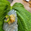 도산역 | [광주/도산동] 현지인만 아는 찐 맛집, 농어회에 반하고 매운탕에 울다. &#39;성원세꼬시&#39; (도산역 맛집)