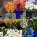 꽃사세요 꽃 | 고속터미널 꽃 도매상가 꽃시장 다녀온 후기