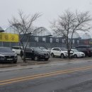 예삐농원 이미지