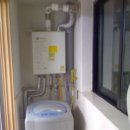 학동 애견 이미지