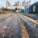 미림농장 이미지