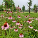 (주)누림 이미지