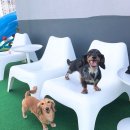 멍스토리 이미지