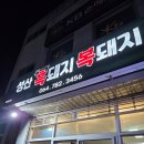 제주복돼지 | 제주서귀포맛집 제주성산맛집 성산흑돼지복돼지에서 맛있는 고기먹었어요