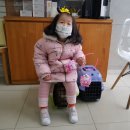 화신종합동물병원 이미지