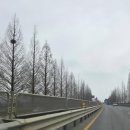 주)찬해영암마트 | 3월 제철음식 쭈꾸미 먹으러 연안부두 다녀온 주말 일상 (가격, 샤브샤브, 가족일기 총정리)