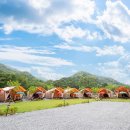 우리두리 이미지