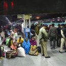 고라농장 이미지