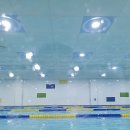 네오키즈스윔 이미지