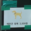 노을어린이공원 | 상암동 노을공원 주차장 주차비 요금할인차량 운영시간 맹꽁이전기차 요금 정리