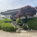 바윗재 백숙 이미지