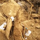 정신농장 이미지