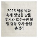 연기면_세종중앙공원(중앙)공터 | 2026 세종 낙화축제 생생한 방문 후기와 호수공원 불멍 명당 주차 꿀팁 총정리