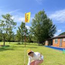 파크골프 이미지