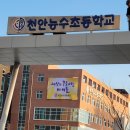 능수초등학교 이미지