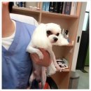 정훈동물병원 이미지