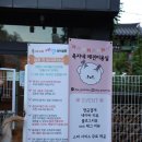 옥자네애견카페 유치원 호텔 미용 이미지