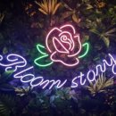 숲스토리 본점 이미지