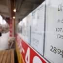 개미부동산중개 이미지