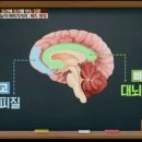 유신태권도장 이미지