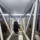 수영목장 | 아기랑 제주도 여행( 미담고기국수, 에코랜드호텔, 아침미소목장 동선)1일차