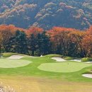 수원-1975 이미지