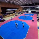 올림픽오스카태권도 이미지