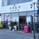 오리둥지 | 강릉 강문해변 소품샵 , 오리둥지 솔직후기