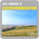 웰빙목장 | 벚꽃길 펼쳐진 서산한우목장웰빙산책로 다녀온 후기