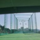 조이 위더스 골프클럽 이미지