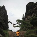 상학농장 | [정기산행후기] "금수산" 충청북도 단양군 적성면 (2015.07.25)