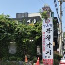 정윤기황칠낙지