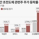 신성피혁 조선비즈
