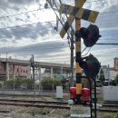 드림빌사과테마공원마을 | [일본/후쿠오카] 후쿠오카 여행 2일차 기록 | 다자이후 유후인 버스투어-2