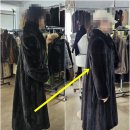 슬림라인바디리폼