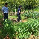 남악농장 이미지