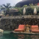 내돈내산 발리 우붓 카페 추천 🌾 라이스뷰 &amp; 수영장 있는 Tis Cafe Ubud 솔직 후기