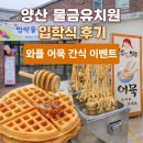 신주2길 | 양산 물금유치원 입학식 후기 와플 어묵 간식 이벤트까지 with 간식왕