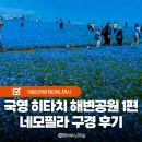 원고잔공원 출입구 5 | 국영 히타치 해변공원 1편 네모필라 명소 소개 도쿄 근교 이바라키 가볼만한곳