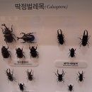 서울암사동유적 이미지