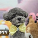 꽃보라미용실